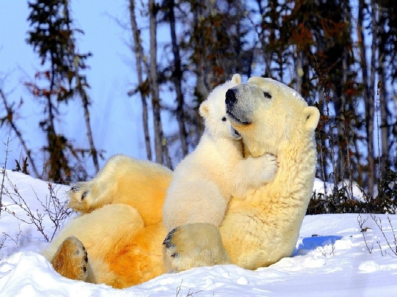 <strong>苏州ohss试管取卵（单支花瓶试管）</strong>