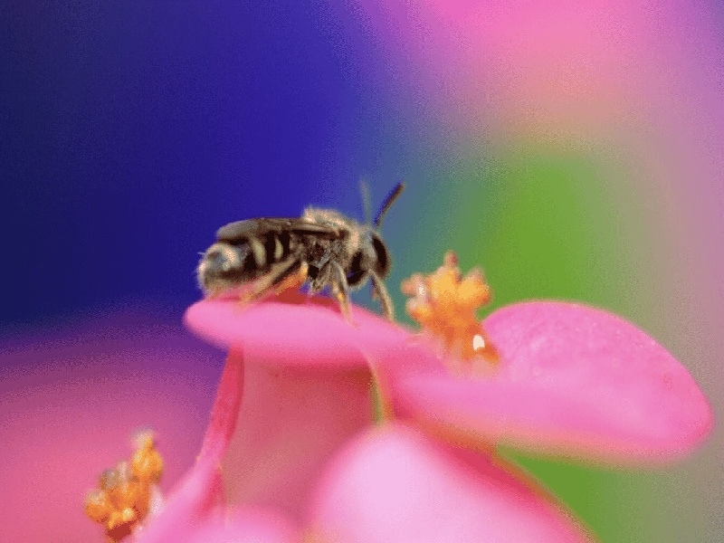 泰国做试管失败 费用（减肥六十斤试管）